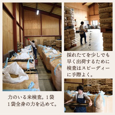 【令和6年産無洗米】特別栽培米つや姫5kg