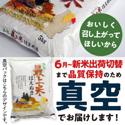 【令和7年産】最上町産はえぬき5kg