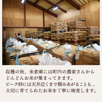 【毎月定期便】特別栽培米 つや姫【無洗米】2kg全3回