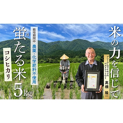 【令和6年産】特別栽培米　蛍たる米コシヒカリ(精米)5kg