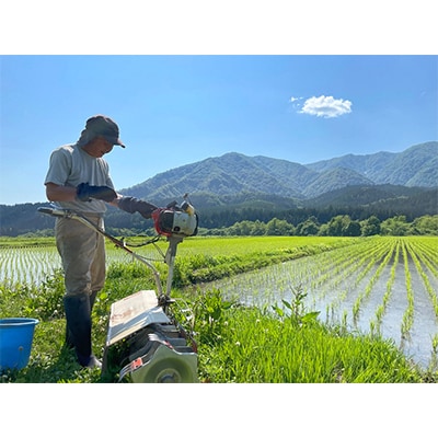 【令和6年産】特別栽培米　蛍たる米コシヒカリ(精米)5kg