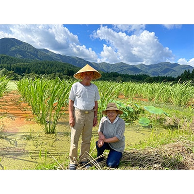 【令和6年産】特別栽培米　蛍たる米コシヒカリ(精米)5kg