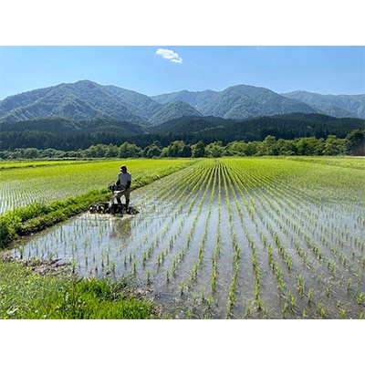 【令和6年産】特別栽培米　蛍たる米コシヒカリ(精米)5kg