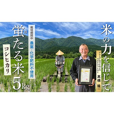【令和6年産】特別栽培米　蛍たる米コシヒカリ(玄米)5kg
