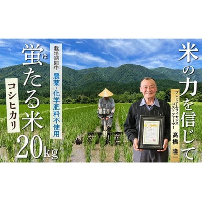 【令和6年産】特別栽培米　蛍たる米コシヒカリ(精米)20kg