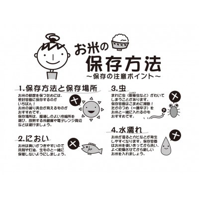 【令和5年産】山形県産特別栽培米つや姫10kg(白米)