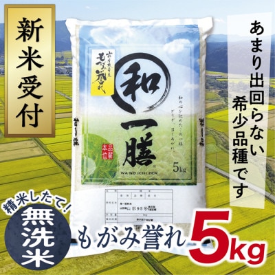 【令和8年産先行受付】山形県産もがみ誉れ5kg(無洗米)