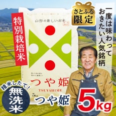 【さとふる限定】令和6年産山形県産特別栽培米　つや姫5kg(無洗米)