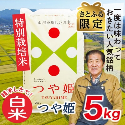 【さとふる限定】令和7年産先行受付　山形県産特別栽培米つや姫5kg(白米)