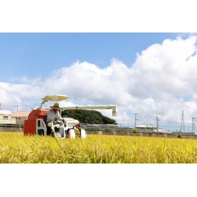 【2024年2月中旬発送】【無洗米】令和5年産山形県産特別栽培米　つや姫10kg