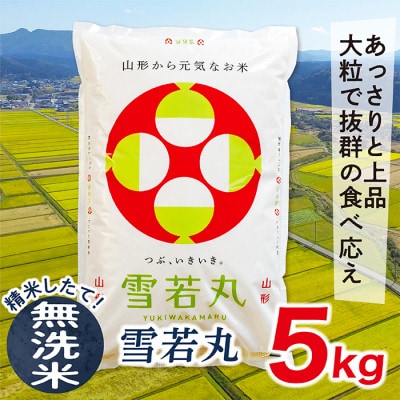 【令和7年産先行受付】山形県産雪若丸5kg(無洗米)