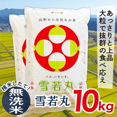 【令和7年産先行受付】山形県産雪若丸10kg(無洗米)