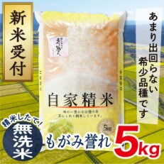 【令和5年産新米先行受付】山形県産もがみ誉れ5kg(無洗米)