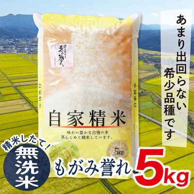 【無洗米】令和4年産山形県産もがみ誉れ5kg