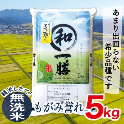 【令和7年産先行受付】山形県産もがみ誉れ5kg(無洗米)