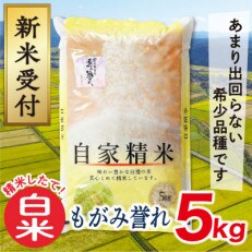 【令和5年産新米先行受付】山形県産もがみ誉れ5kg(白米)