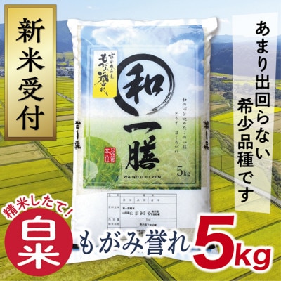 【令和7年産先行受付】山形県産もがみ誉れ5kg(白米)