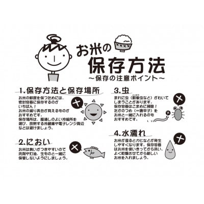 【令和7年産先行受付】山形県産もがみ誉れ5kg(白米)