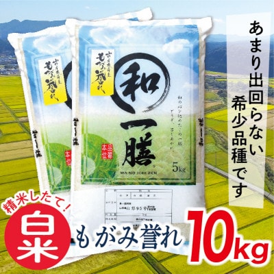 【2024年2月上旬発送】【白米】令和5年産山形県産もがみ誉れ10kg
