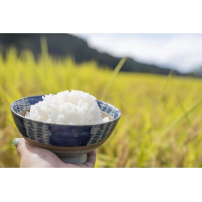 【2024年2月上旬発送】【白米】令和5年産山形県産もがみ誉れ10kg
