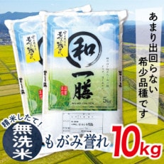 【2024年2月上旬発送】【無洗米】令和5年産山形県産もがみ誉れ10kg