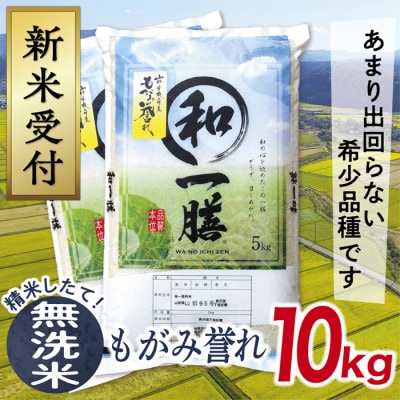 【令和7年産先行受付】山形県産もがみ誉れ10kg(無洗米)
