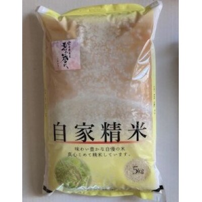 【白米】令和3年産山形県産もがみ誉れ5kg(精米)