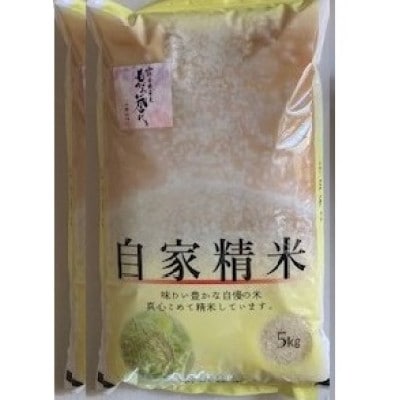 【白米】令和3年産山形県産もがみ誉れ10kg(精米)