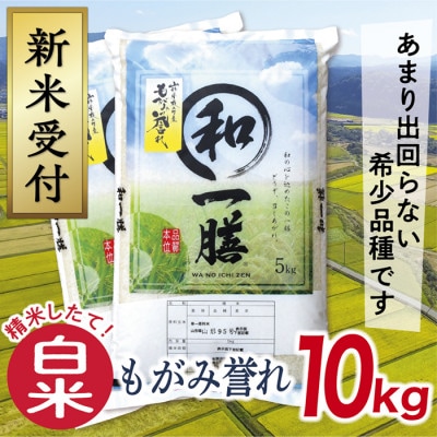 【令和8年産先行受付】山形県産もがみ誉れ10kg(白米)