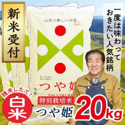 【令和7年産先行受付】山形県産特別栽培米 つや姫20kg(白米)