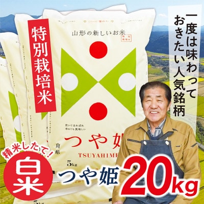 【令和7年産】山形県産特別栽培米　つや姫20kg(白米)