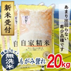 【令和5年産新米先行受付】山形県産もがみ誉れ20kg(無洗米)