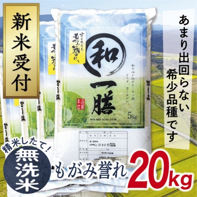 【令和7年産先行受付】山形県産もがみ誉れ20kg(無洗米)