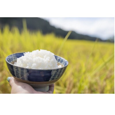 【2024年5月上旬発送】【無洗米】令和5年産山形県産もがみ誉れ20kg
