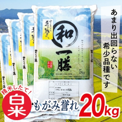 【令和7年産先行受付】山形県産もがみ誉れ20kg(白米)