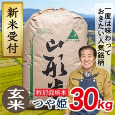 【令和6年産先行受付】山形県産特別栽培米 つや姫30kg(玄米)