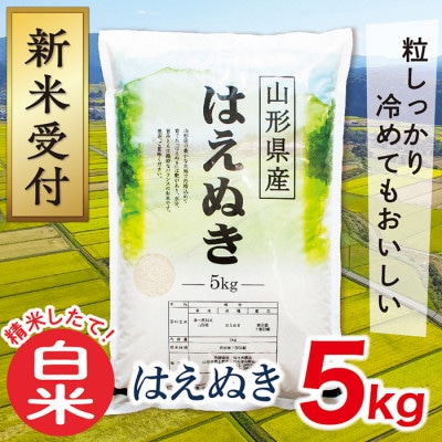 【令和7年産新米受付】山形県産はえぬき5kg(白米)