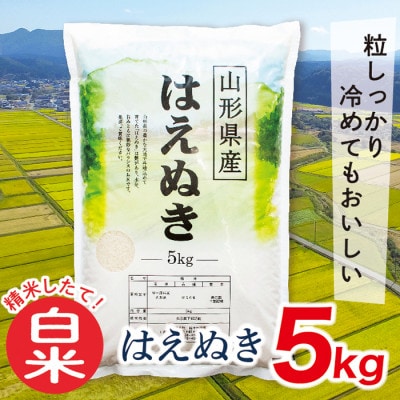 【令和7年産新米受付】山形県産はえぬき5kg(白米)