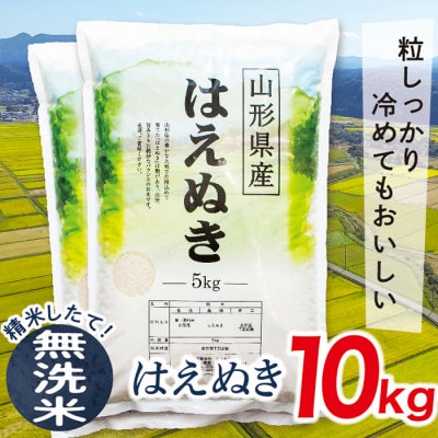 【令和7年産先行受付】山形県産はえぬき10kg(無洗米)