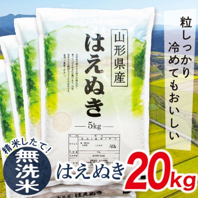 【令和7年産先行受付】 山形県産はえぬき20kg(無洗米)