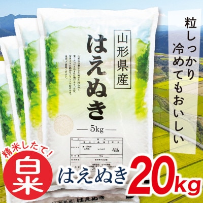 【令和7年産先行受付】山形県産はえぬき20kg(白米)
