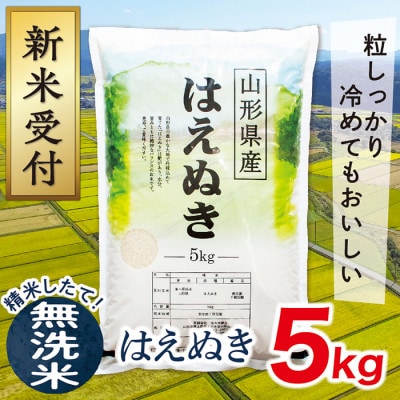 【令和7年産新米受付】山形県産はえぬき5kg(無洗米)