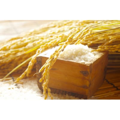 【令和7年産新米受付】山形県産はえぬき5kg(無洗米)