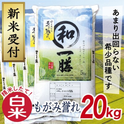 【令和8年産先行受付】山形県産もがみ誉れ20kg(白米)