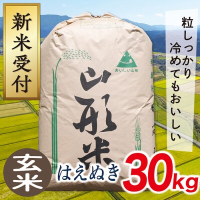 【令和8年産先行受付】山形県産はえぬき30kg(玄米)