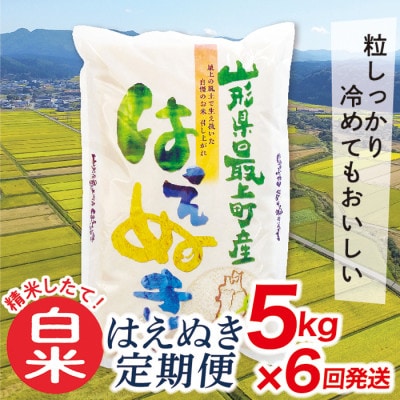 【毎月定期便】買い忘れなしで美味しいはえぬき5kg(白米)が届く全6回