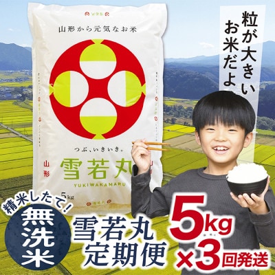 【毎月定期便】買い忘れなしで美味しい雪若丸5kg(無洗米)が届く全3回