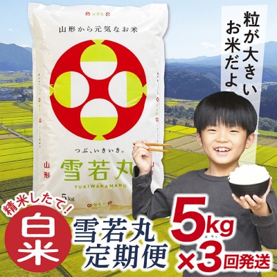 【毎月定期便】買い忘れなしで美味しい雪若丸5kg(白米)が届く全3回