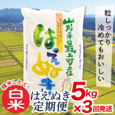 【毎月定期便】買い忘れなしで美味しいはえぬき5kg(白米)が届く全3回