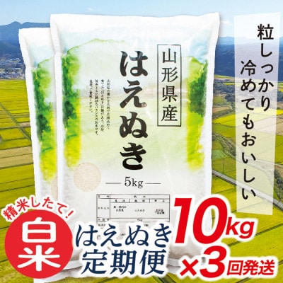 【毎月定期便】買い忘れなしで美味しいはえぬき10kg(白米)が届く全3回